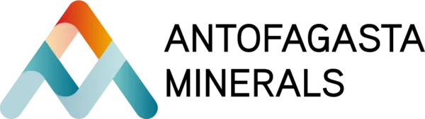 LOGO AMSA