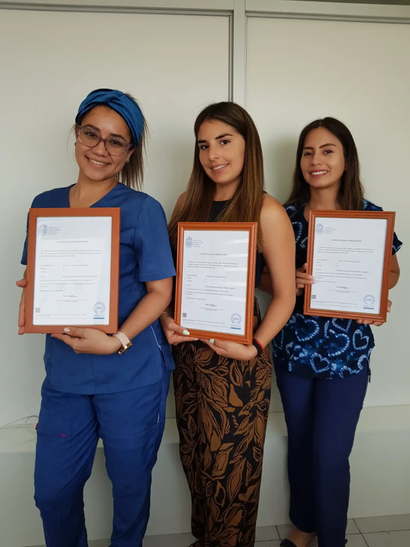 Profesionales con Diplomado en Salud Ocupacional de la Universidad Católica de Chile.